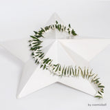 étoile blanche© | star urn ceramic urn white | size: normal