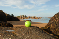 ball of love ® Bretagne