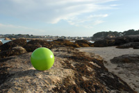 ball of love ® Bretagne