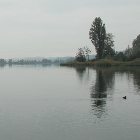 Wasserbestattung