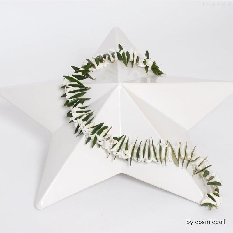 étoile blanche® | Sternurne Keramikurne weiss | Grösse: normal