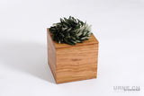 mokkyu® Kubus | Holzurne Olive