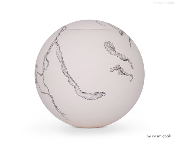 SFERA BIANCA © Urne TANNENZAPFEN