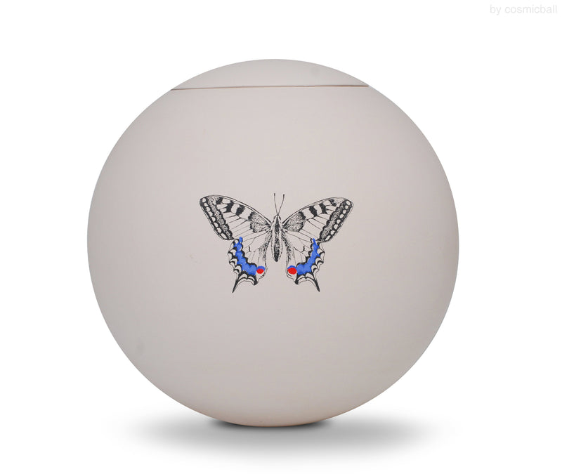 sfera bianca© Urne Schwalbenschwanz Schmetterling
