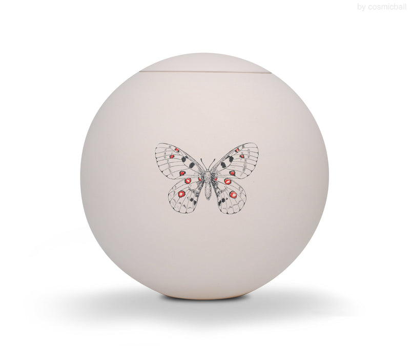 sfera bianca© Urne Apollofalter Schmetterling